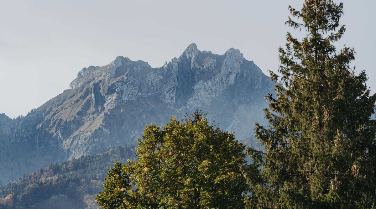 Hotel pilatusblick gasthaus waldegg horw 01