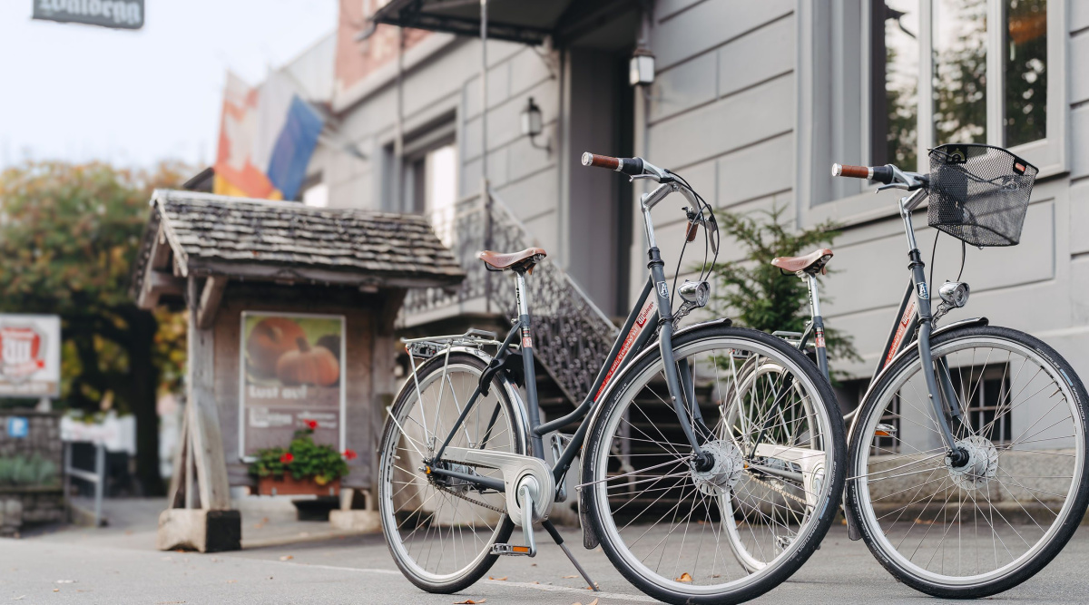 Hotel velo gasthaus waldegg horw 01